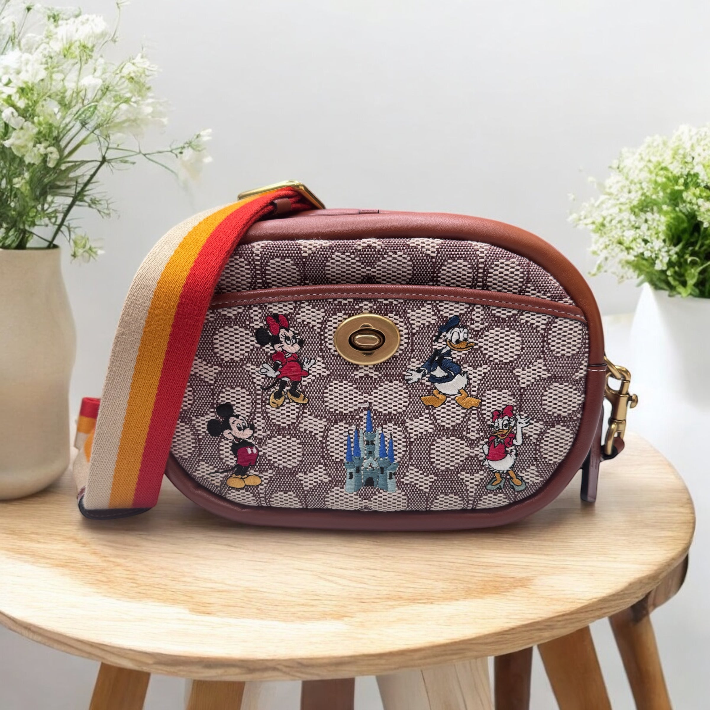 Coach x Disney Camera Crossbody Bag | Playful Charm