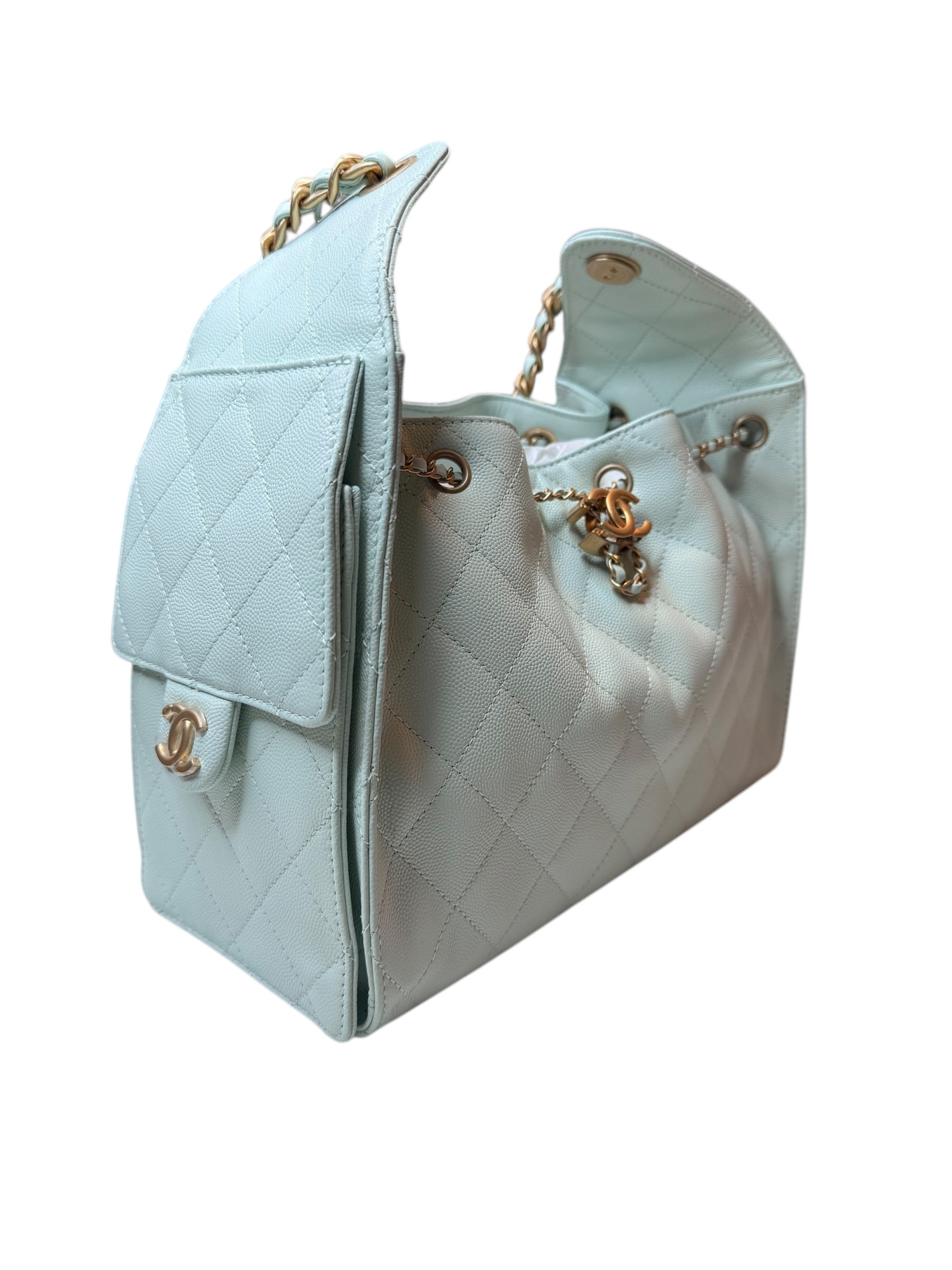 Chanel Small Hobo 25 Bag | Effortless Chic