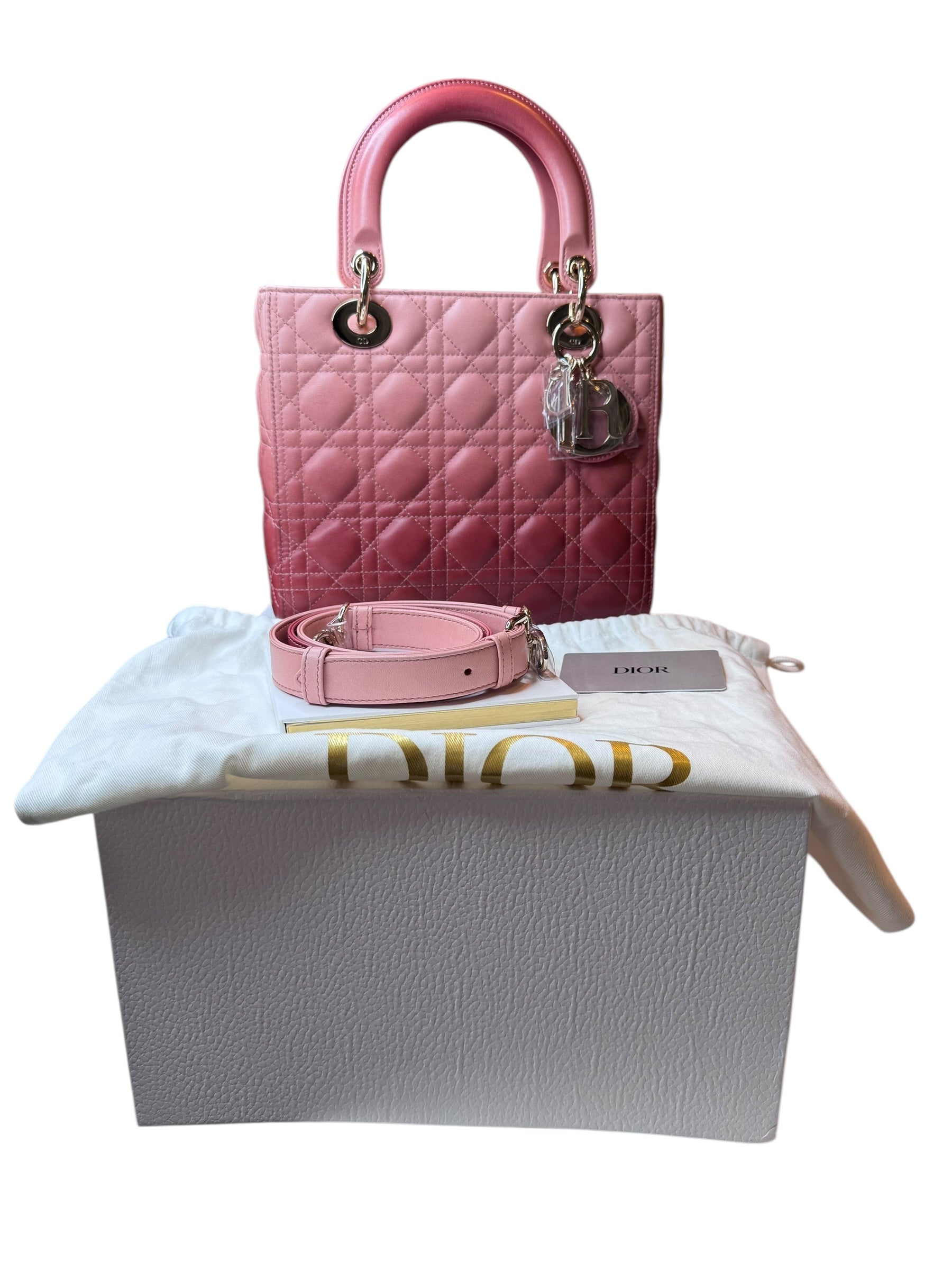 Dior Medium Ombré Lady Dior Bag | Lambskin Gradient Style