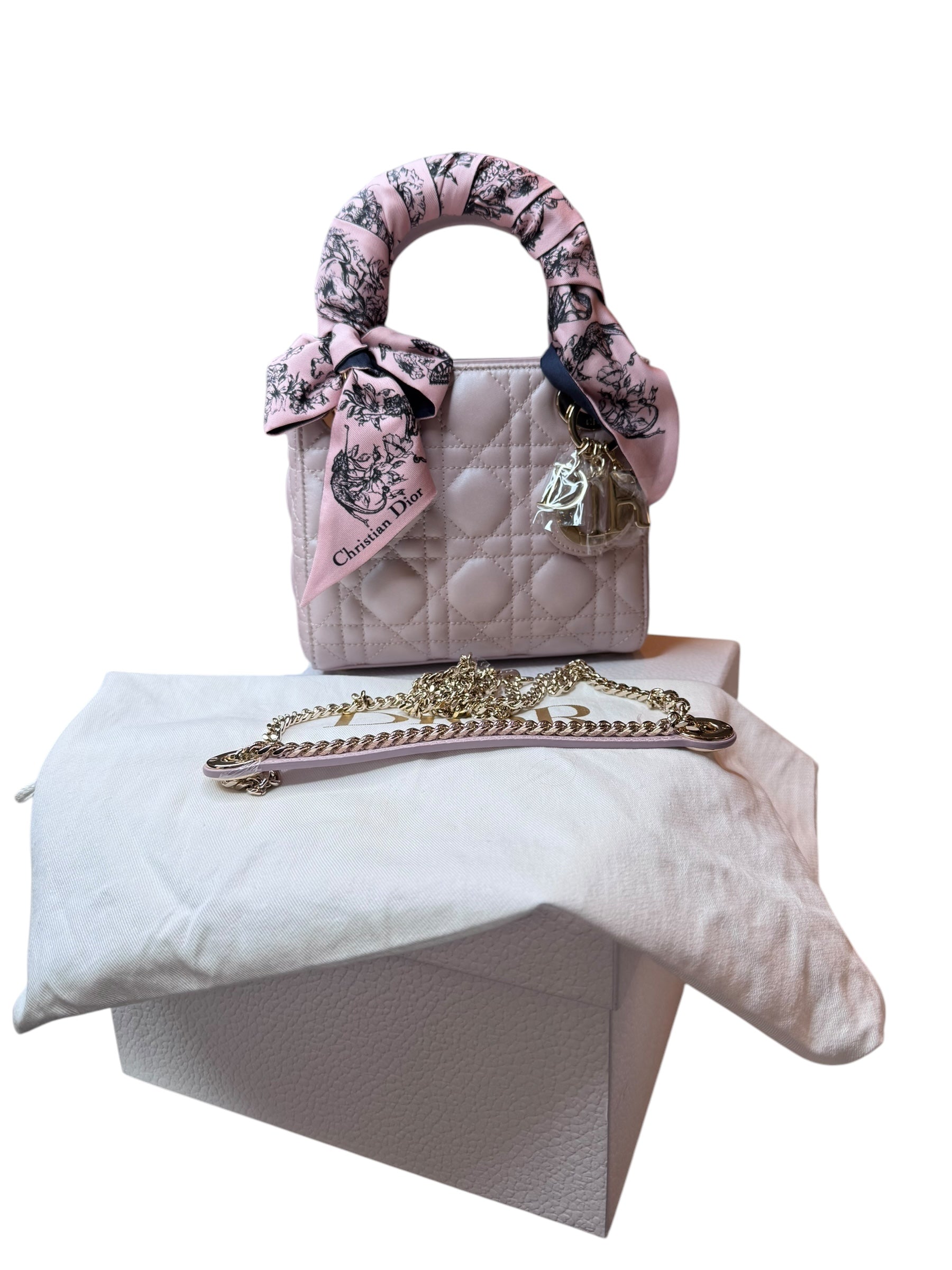 Dior Metallic Mini Lady Dior | Radiant Finish