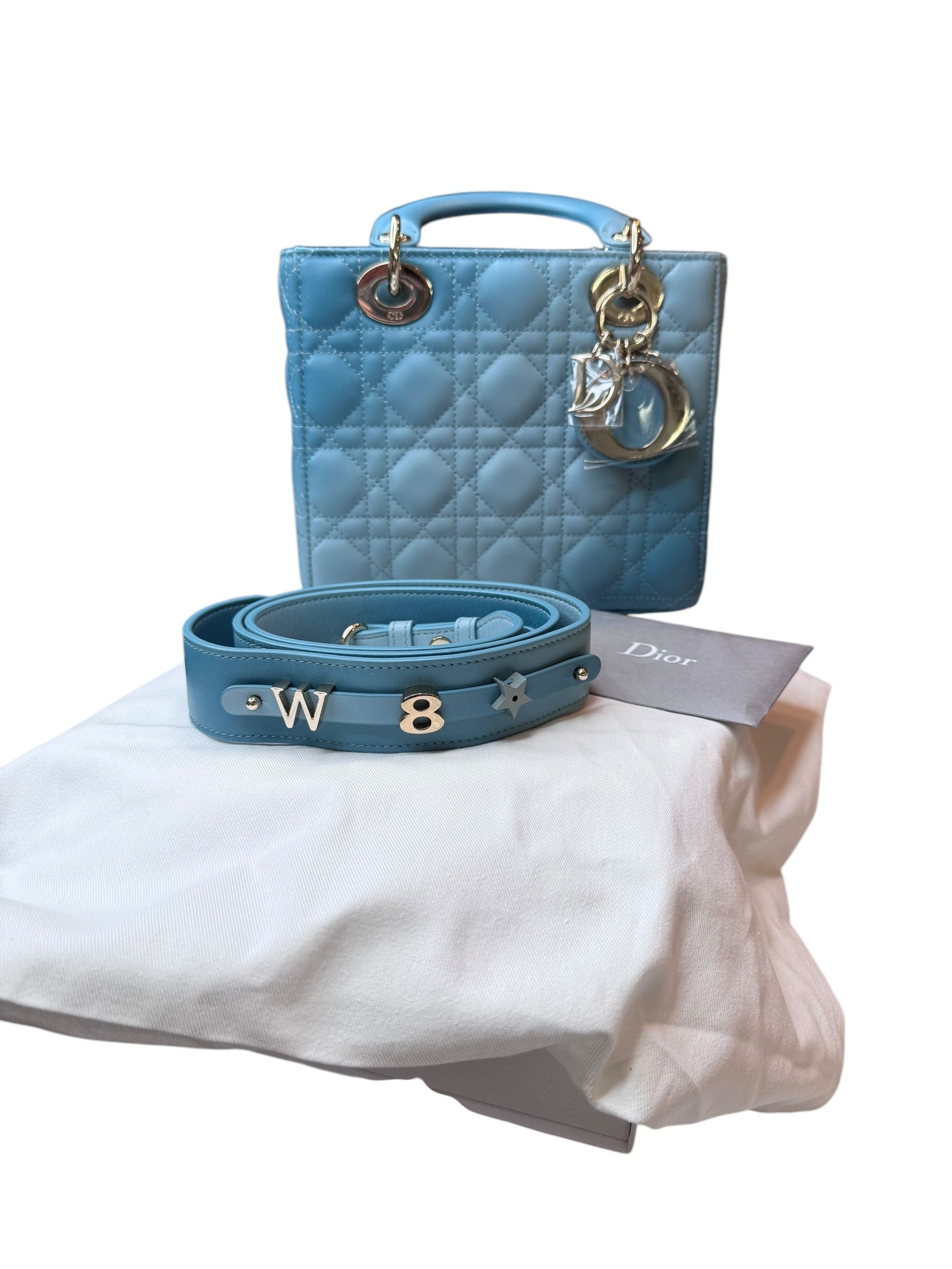 Dior Medium Lambskin Ombré Lady Dior Bag | Elegant Gradient