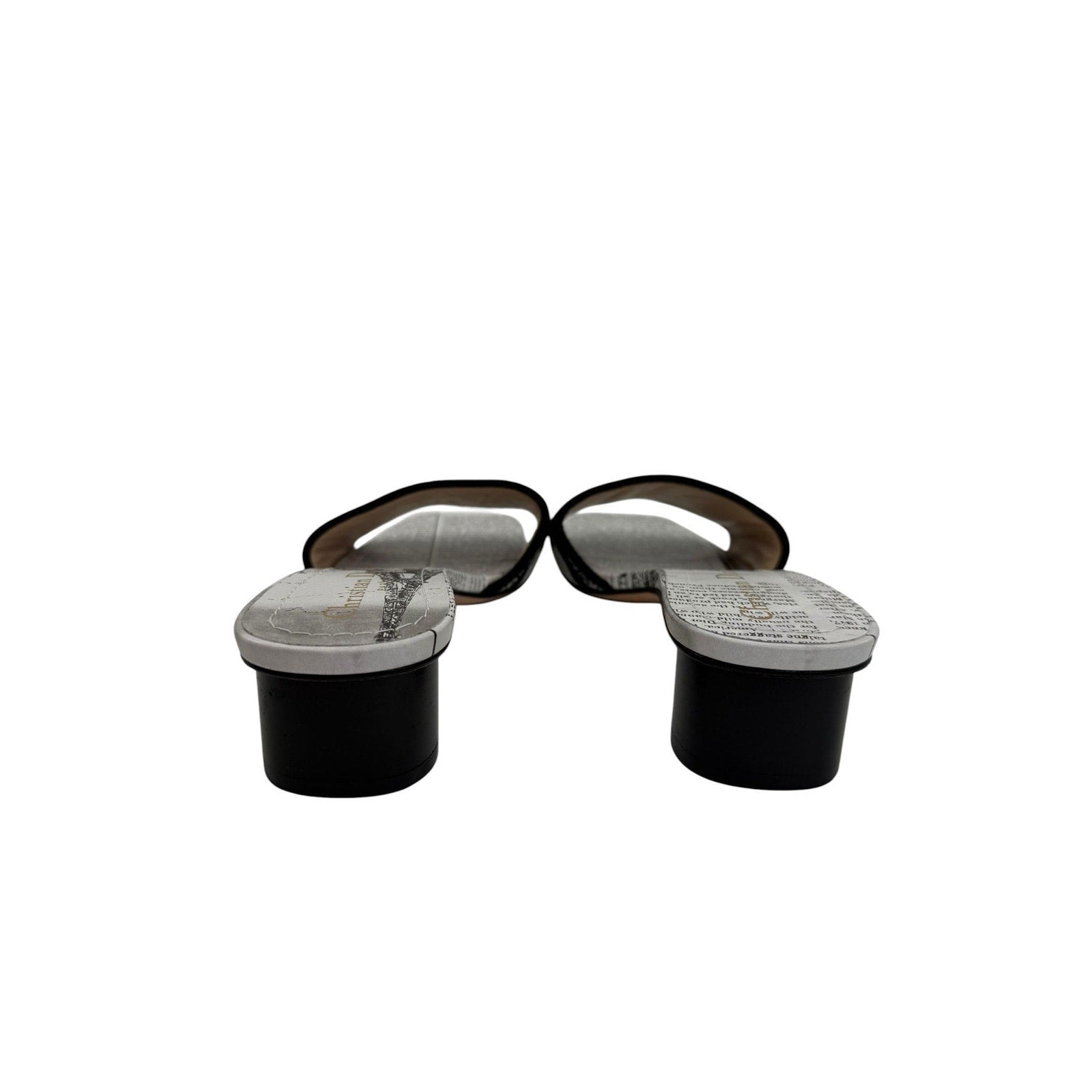 Dior Dway Heeled Newspaper Print Slides (39/9)