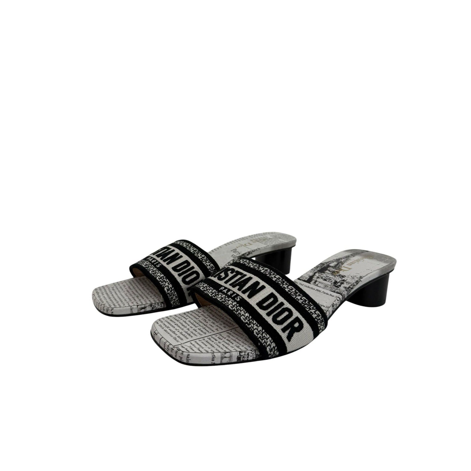 Dior Dway Heeled Newspaper Print Slides (39/9)