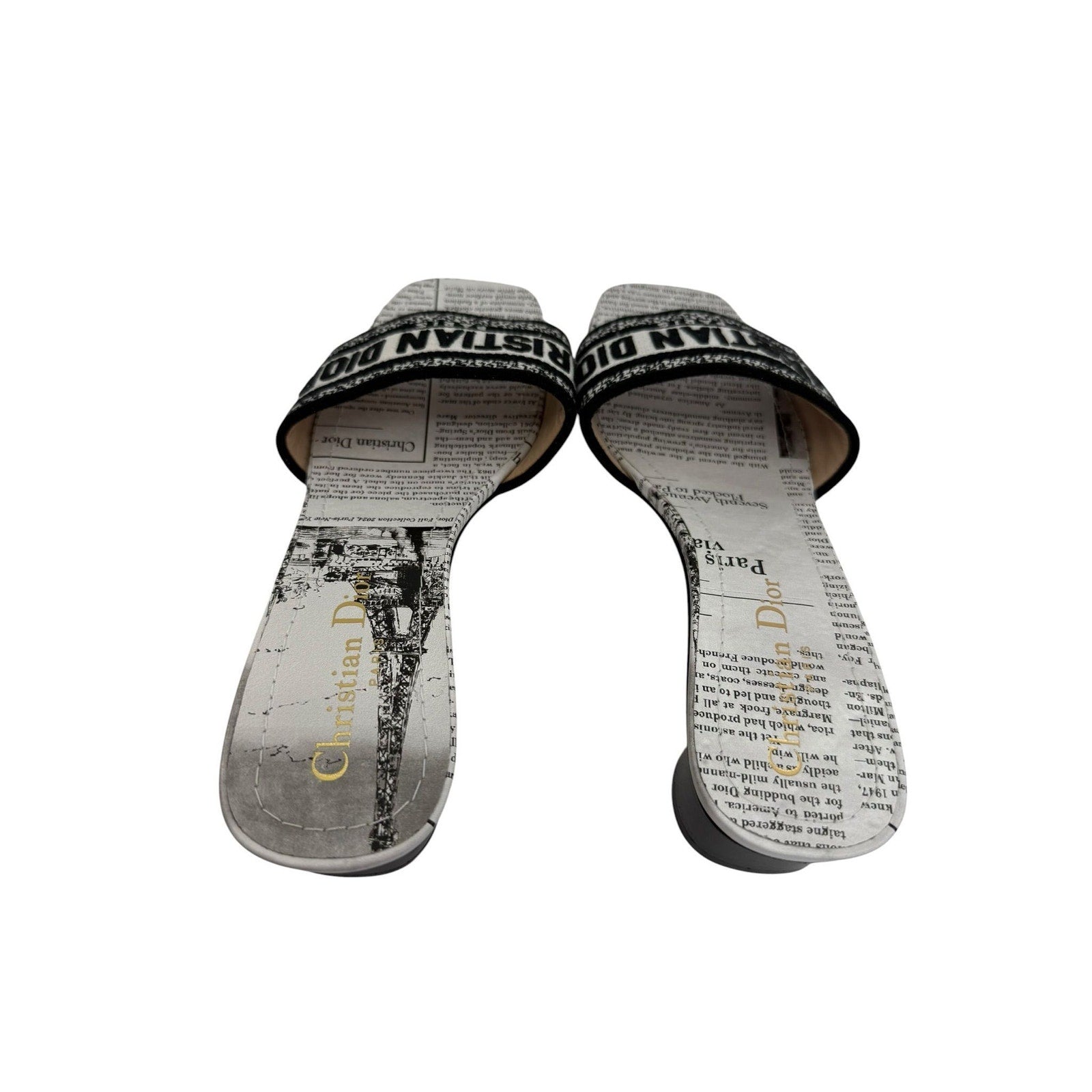 Dior Dway Heeled Newspaper Print Slides (39/9)
