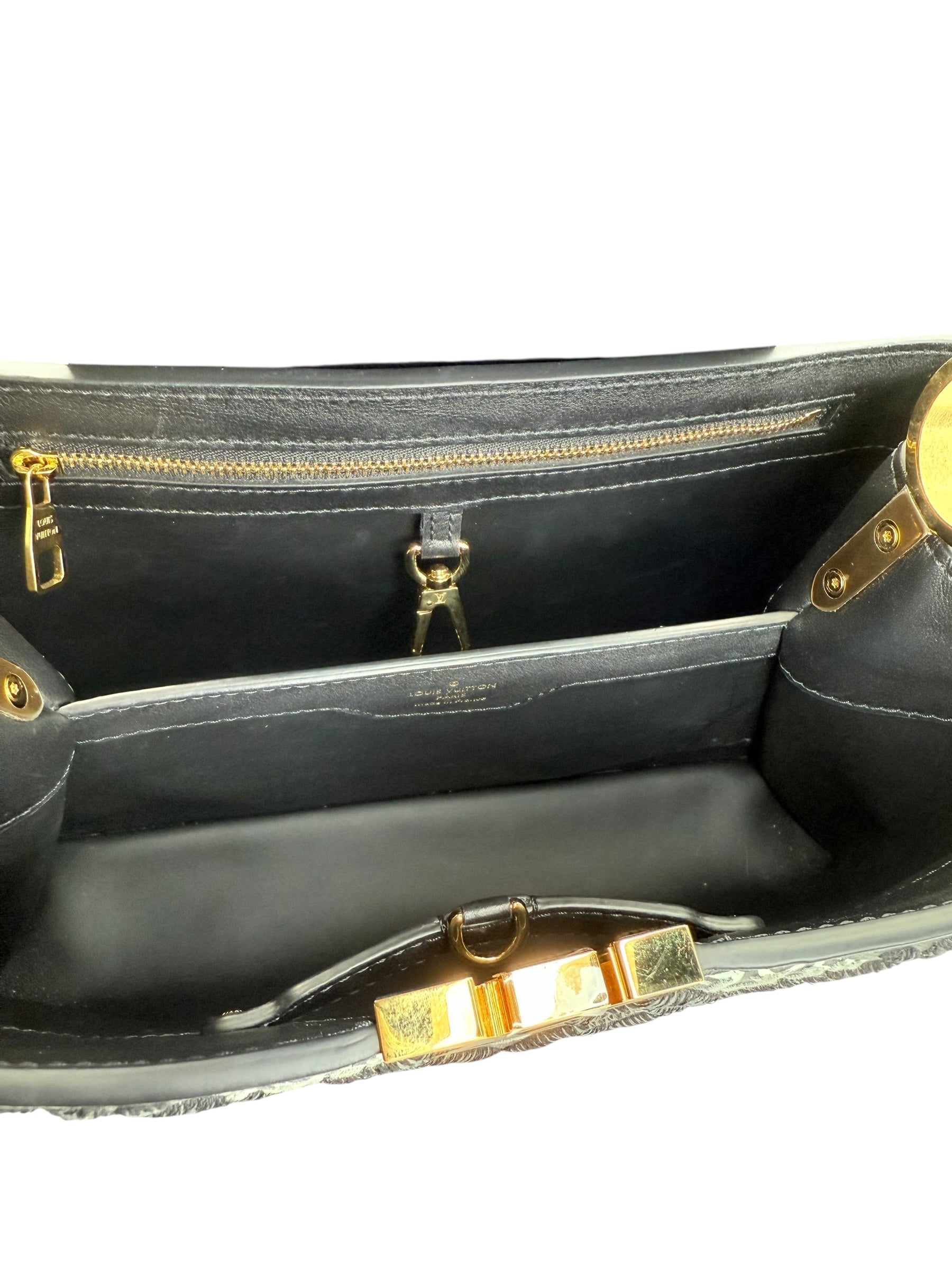 Louis Vuitton Limited Edition Since 1854 Capucines