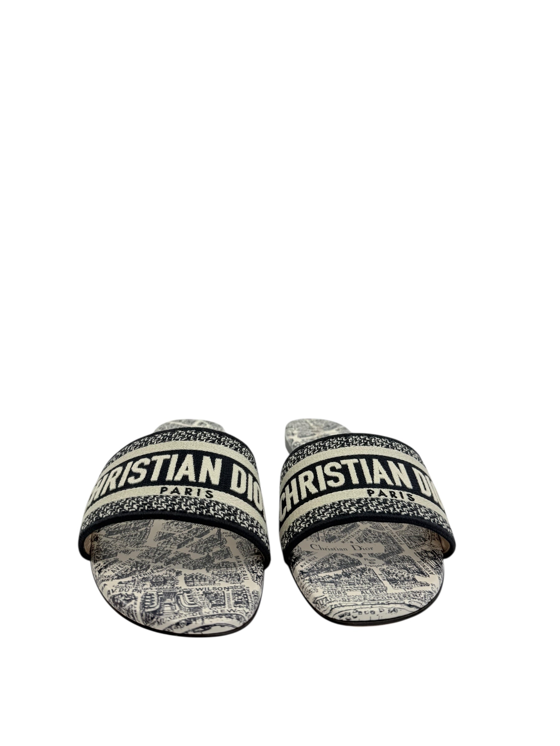 Dior Plan de Paris Dway Slides (41/11)