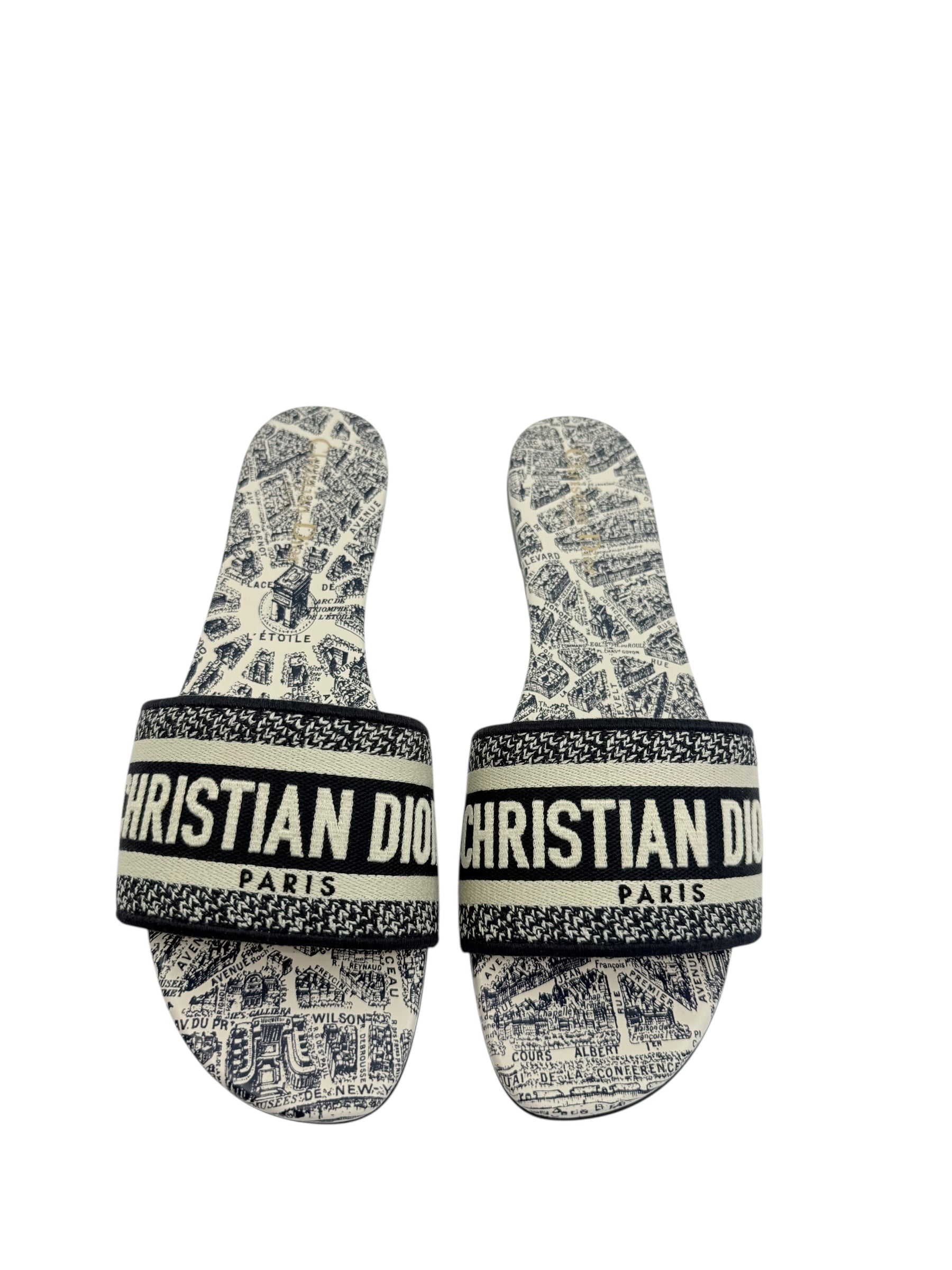 Dior Plan de Paris Dway Slides (41/11)