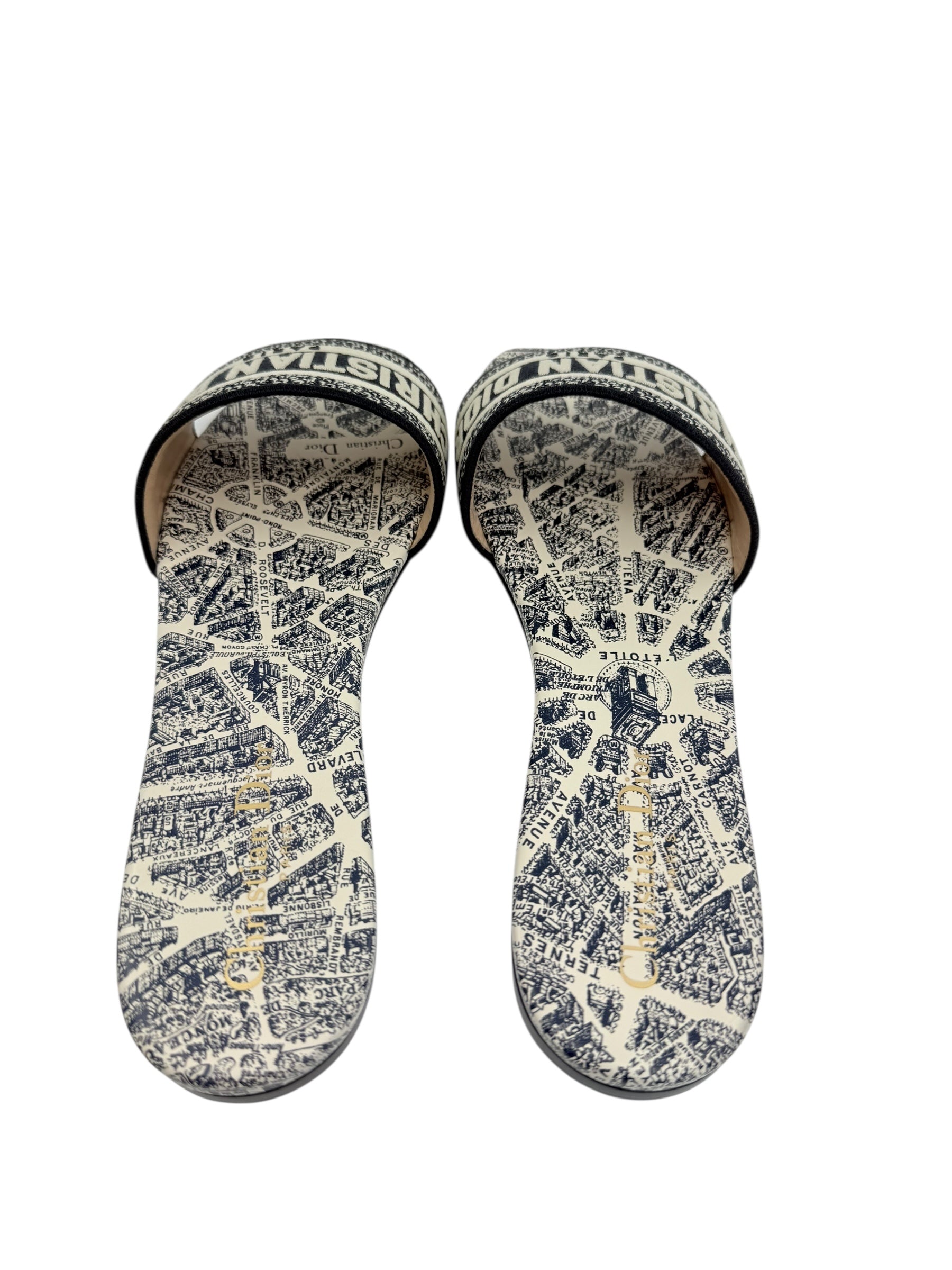 Dior Plan de Paris Dway Slides (41/11)