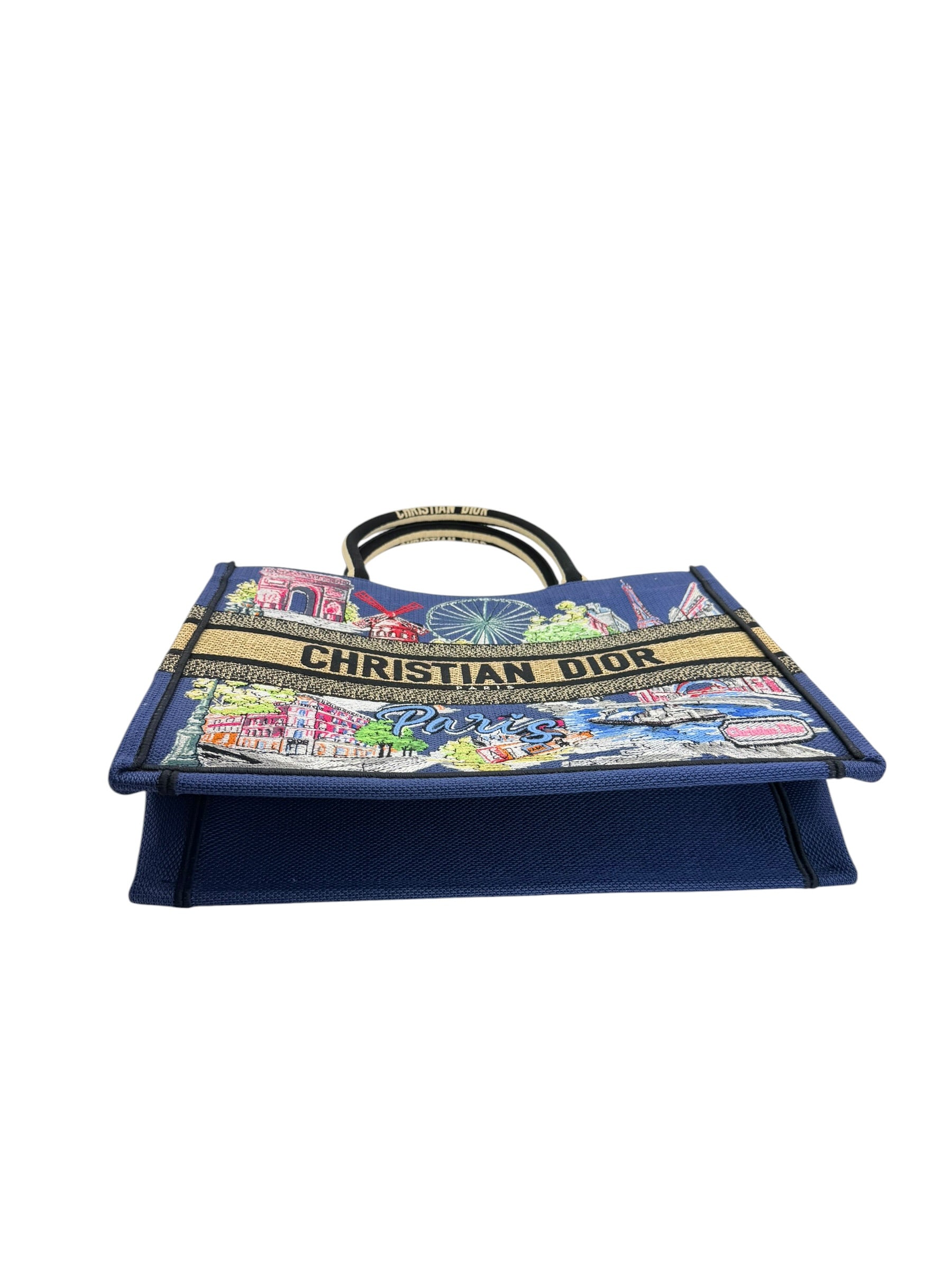 Dior Paris Souvenir Medium Book Tote
