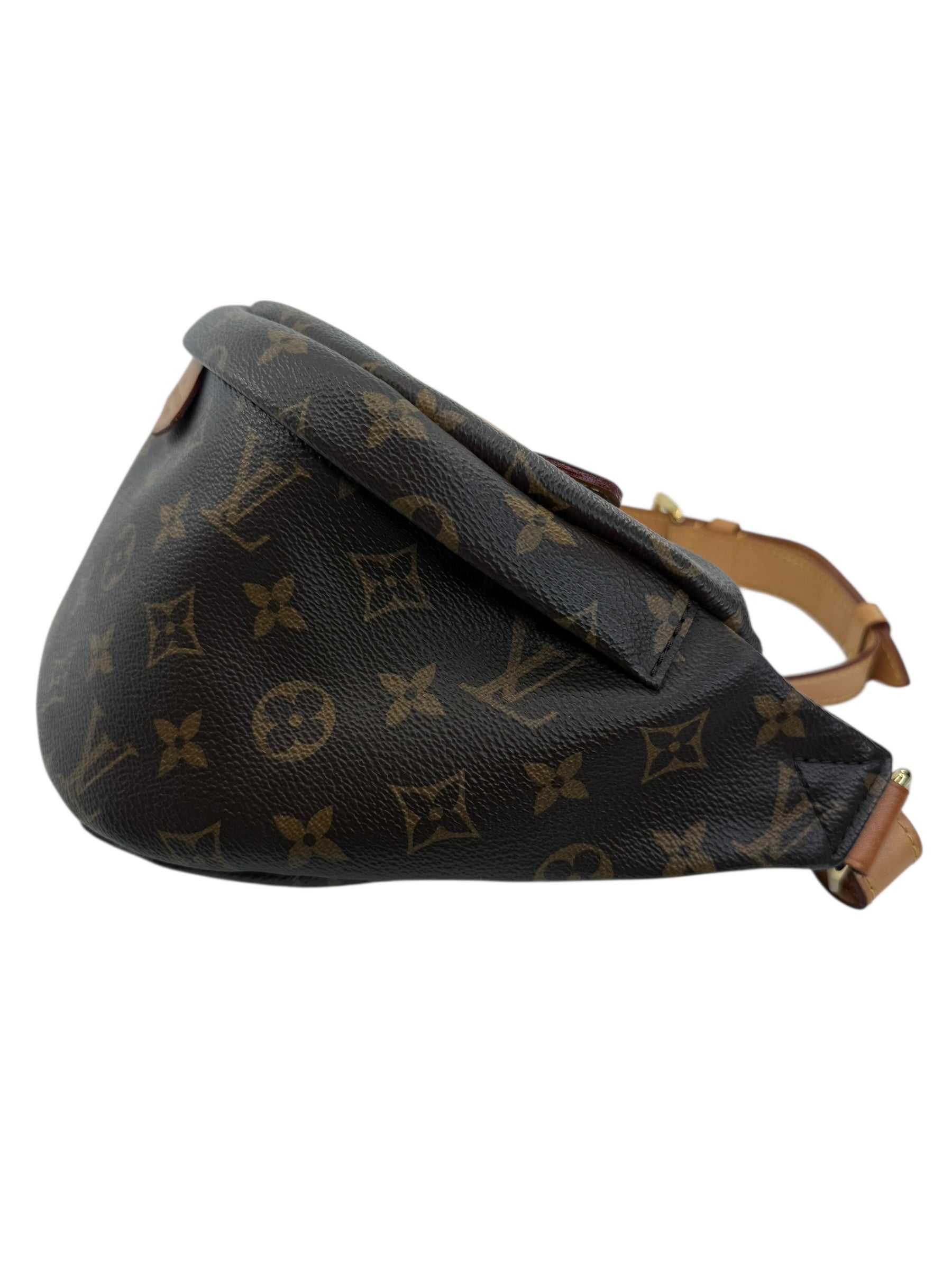 Louis Vuitton Monogram Bum Bag