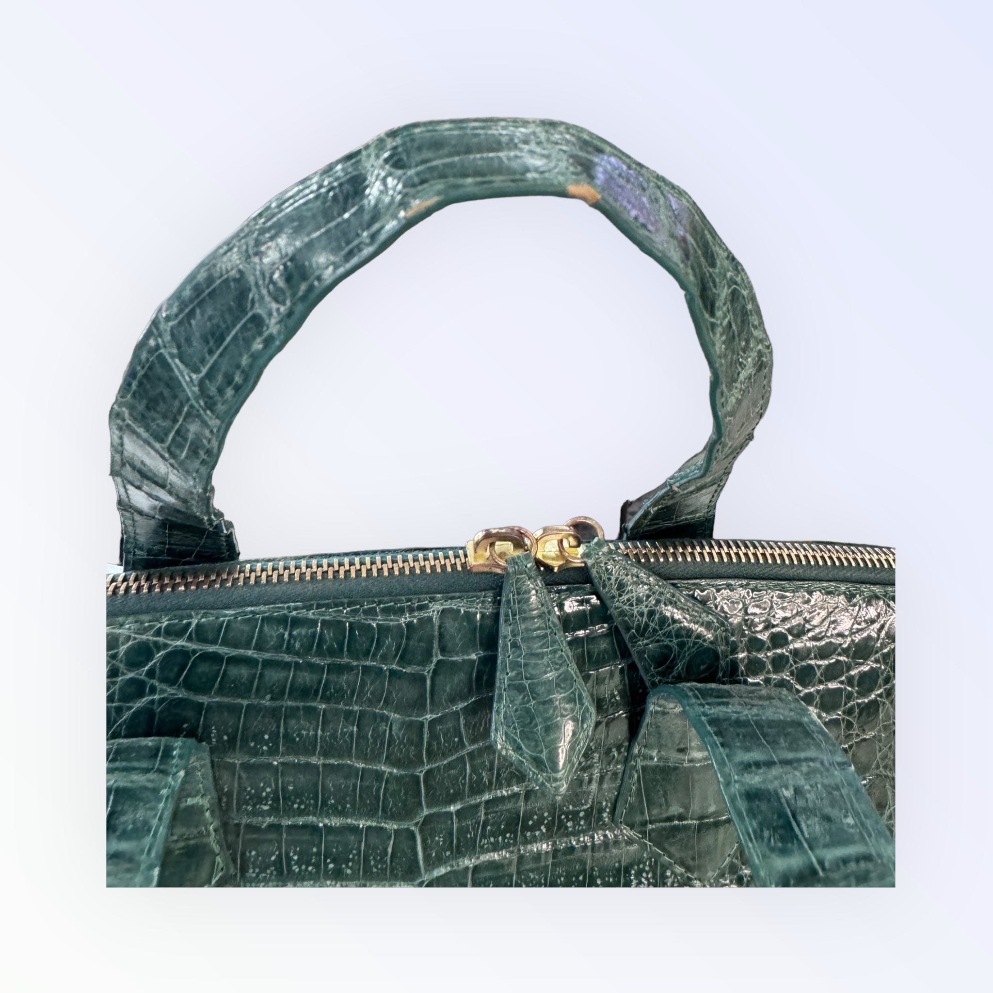 Nancy Gonzalez Crocodile Handbag