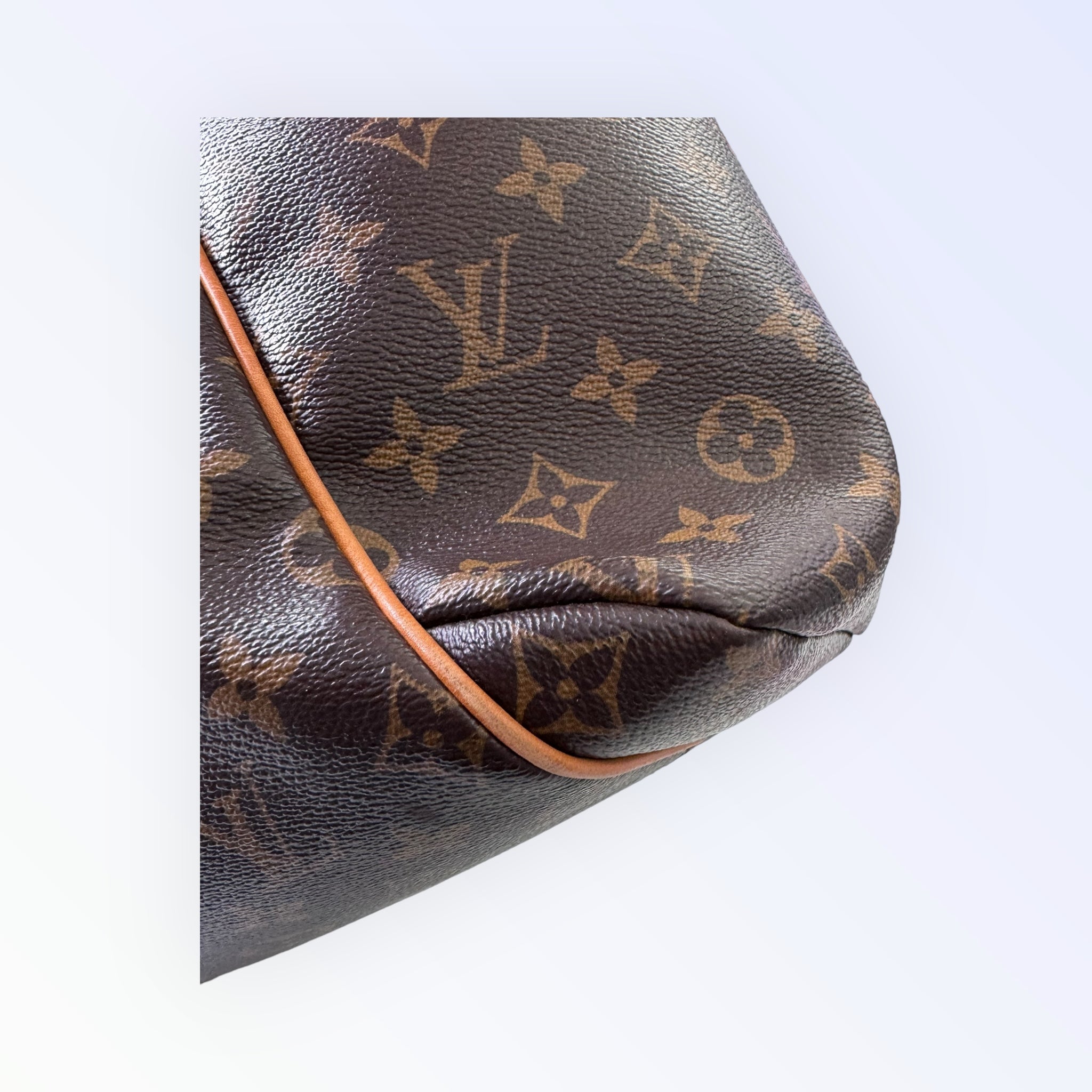 Louis Vuitton Monogram Totally PM Shoulder Bag