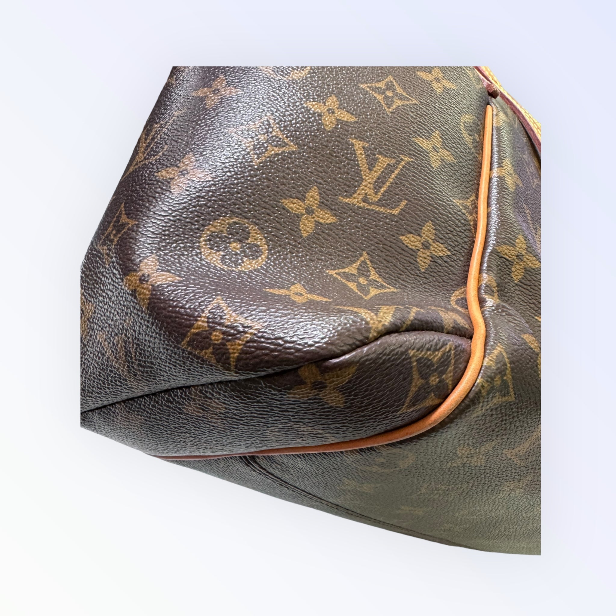 Louis Vuitton Monogram Totally PM Shoulder Bag