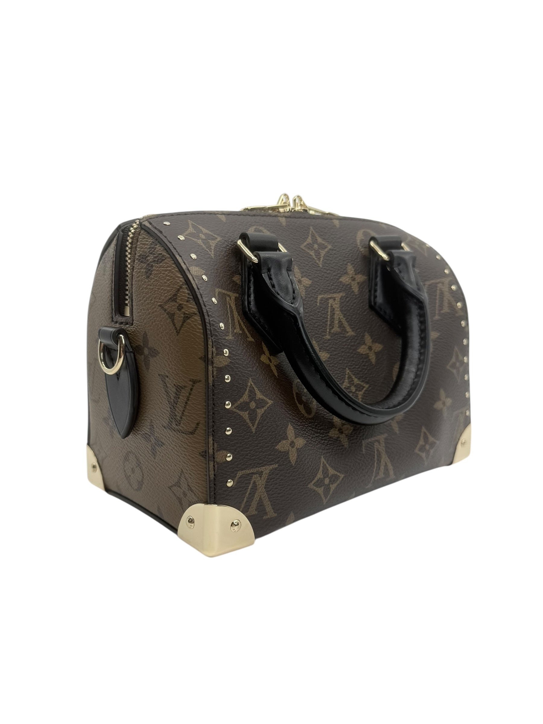 Louis Vuitton Speedy Trunk 20