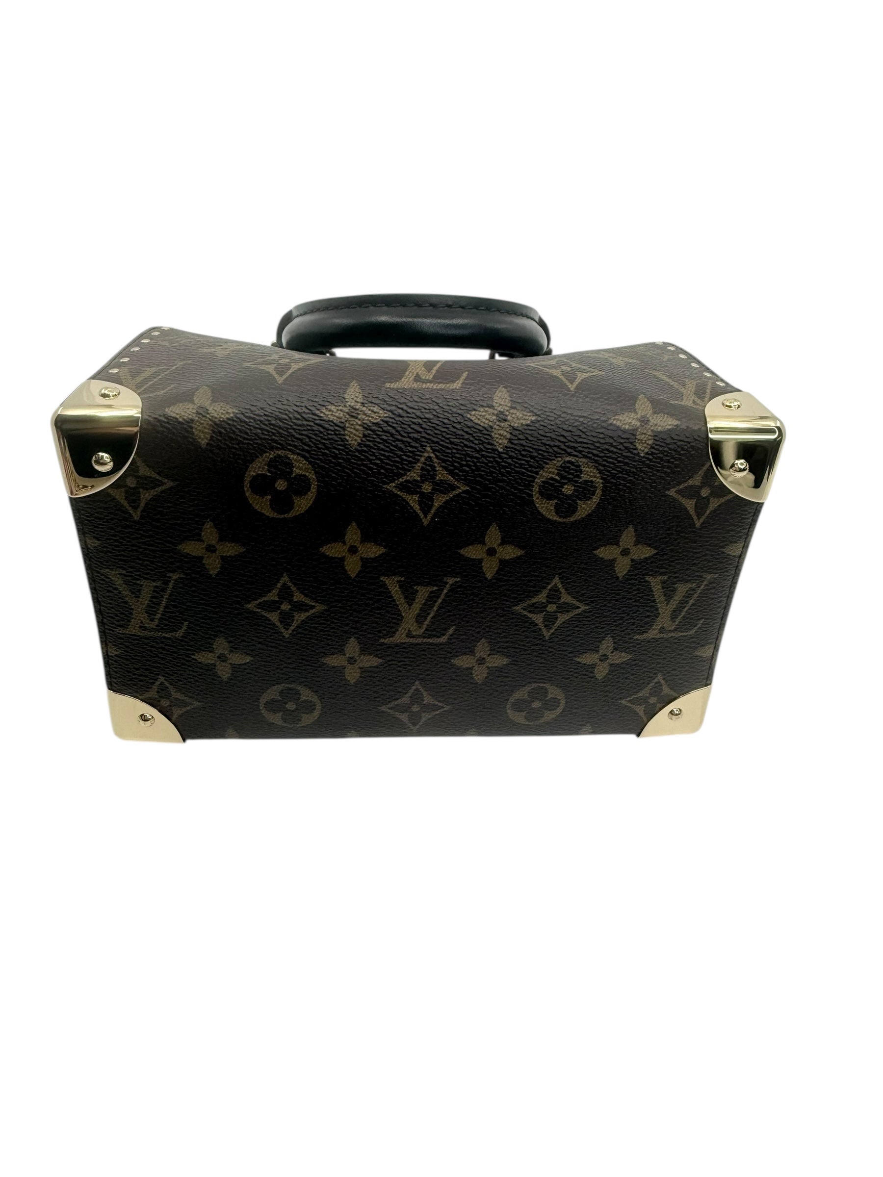 Louis Vuitton Speedy Trunk 20