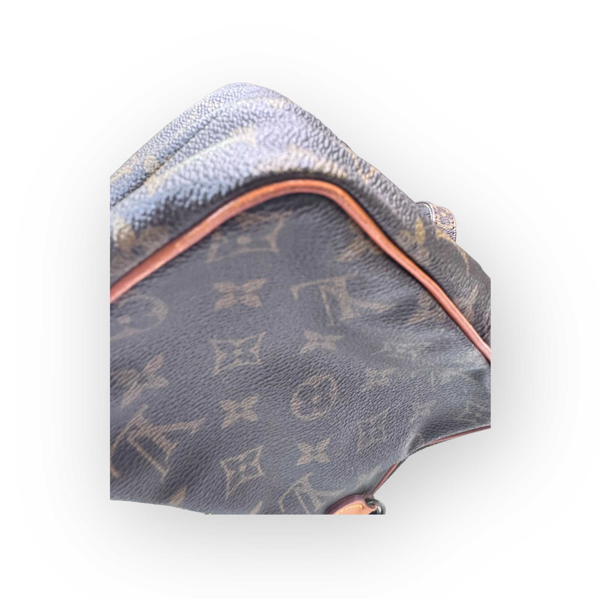 Louis Vuitton Monogram Canvas Amazone Mini Bag