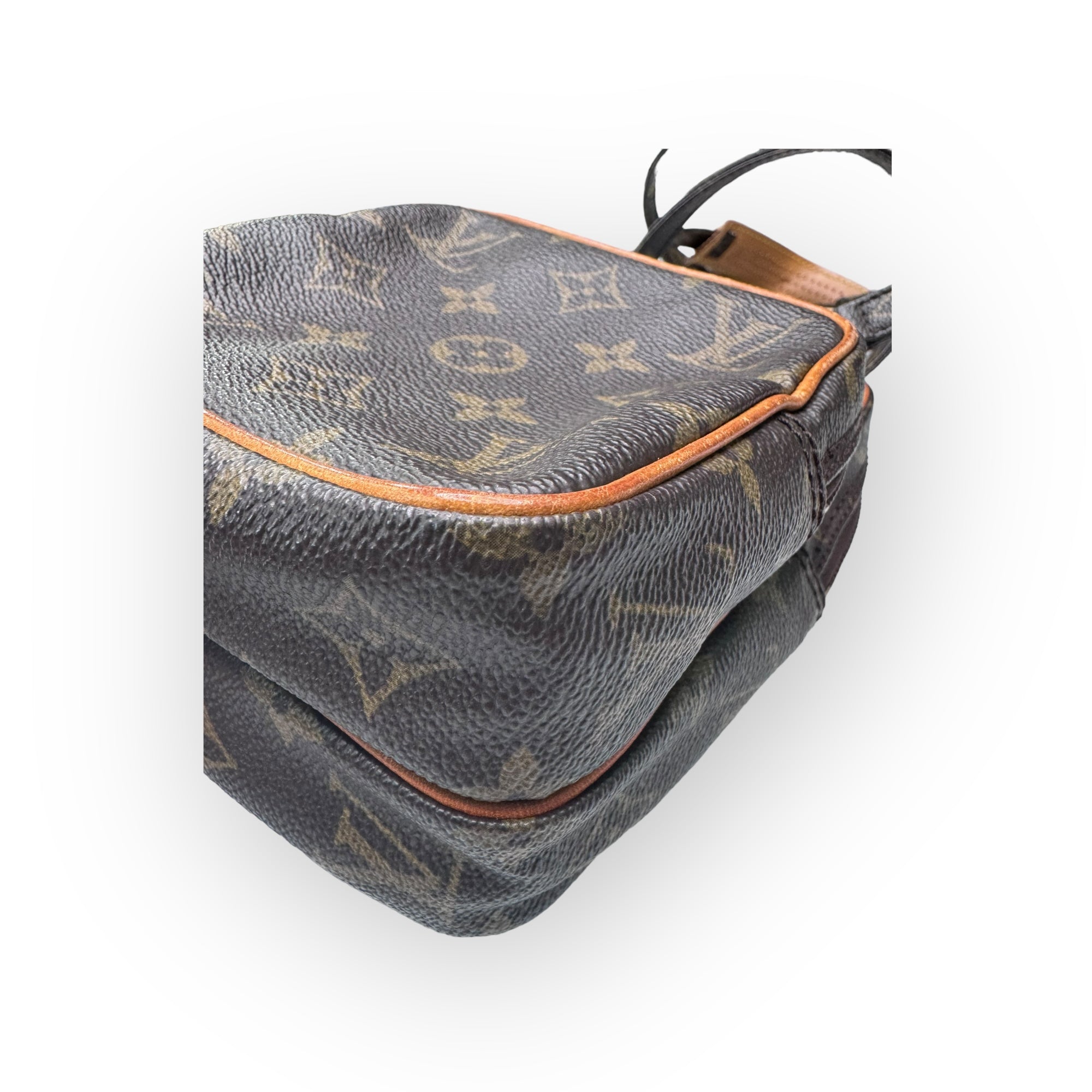 Louis Vuitton Monogram Canvas Amazone Mini Bag