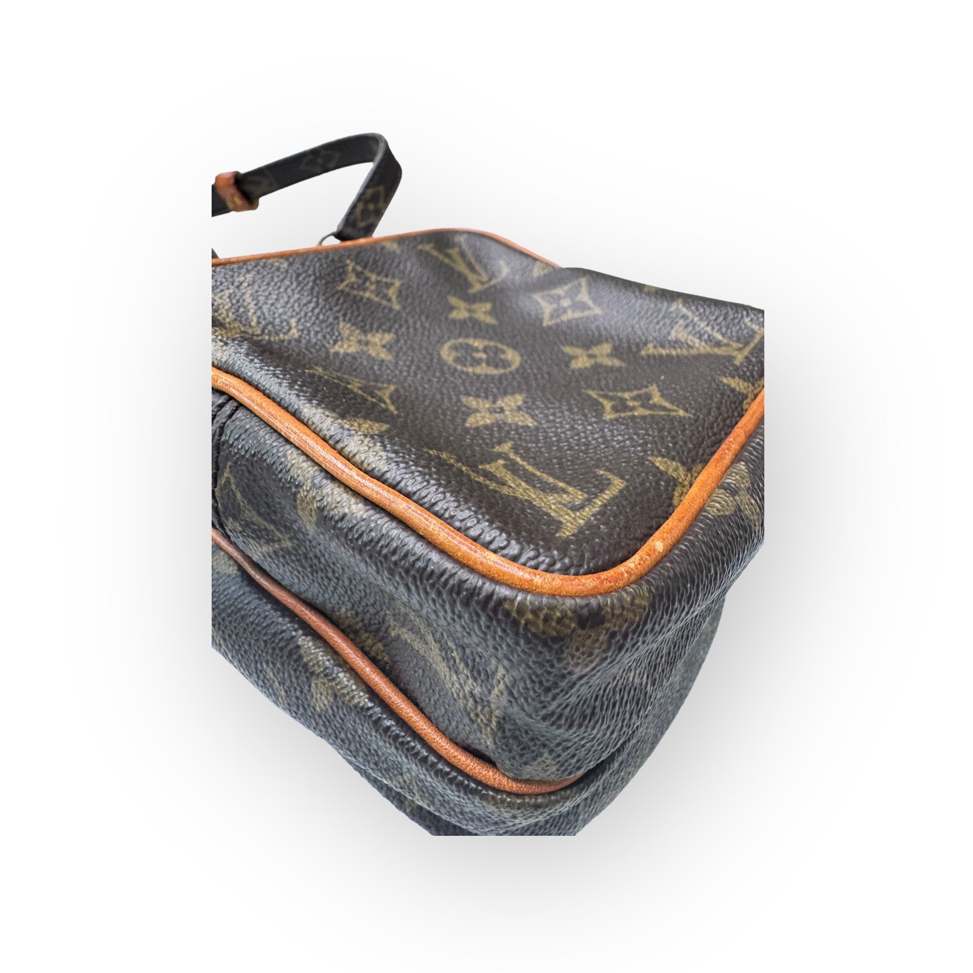 Louis Vuitton Monogram Canvas Amazone Mini Bag