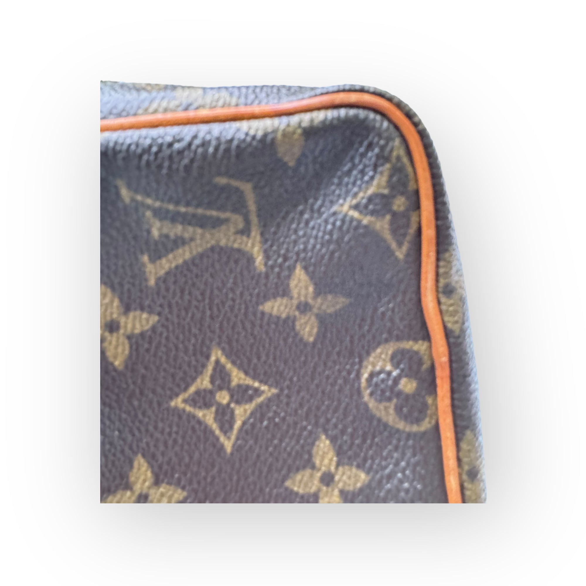 Louis Vuitton Monogram Canvas Amazone Mini Bag