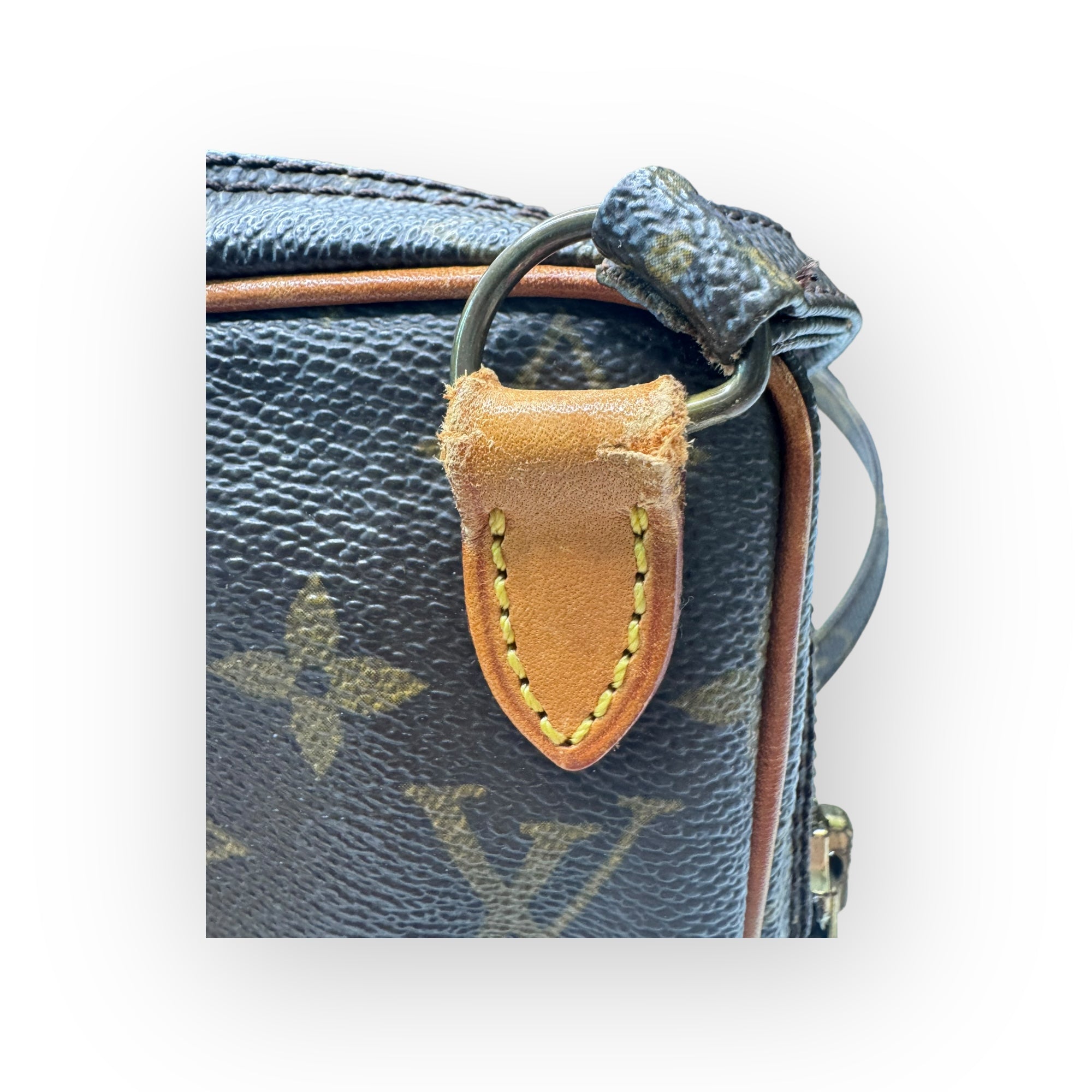 Louis Vuitton Monogram Canvas Amazone Mini Bag