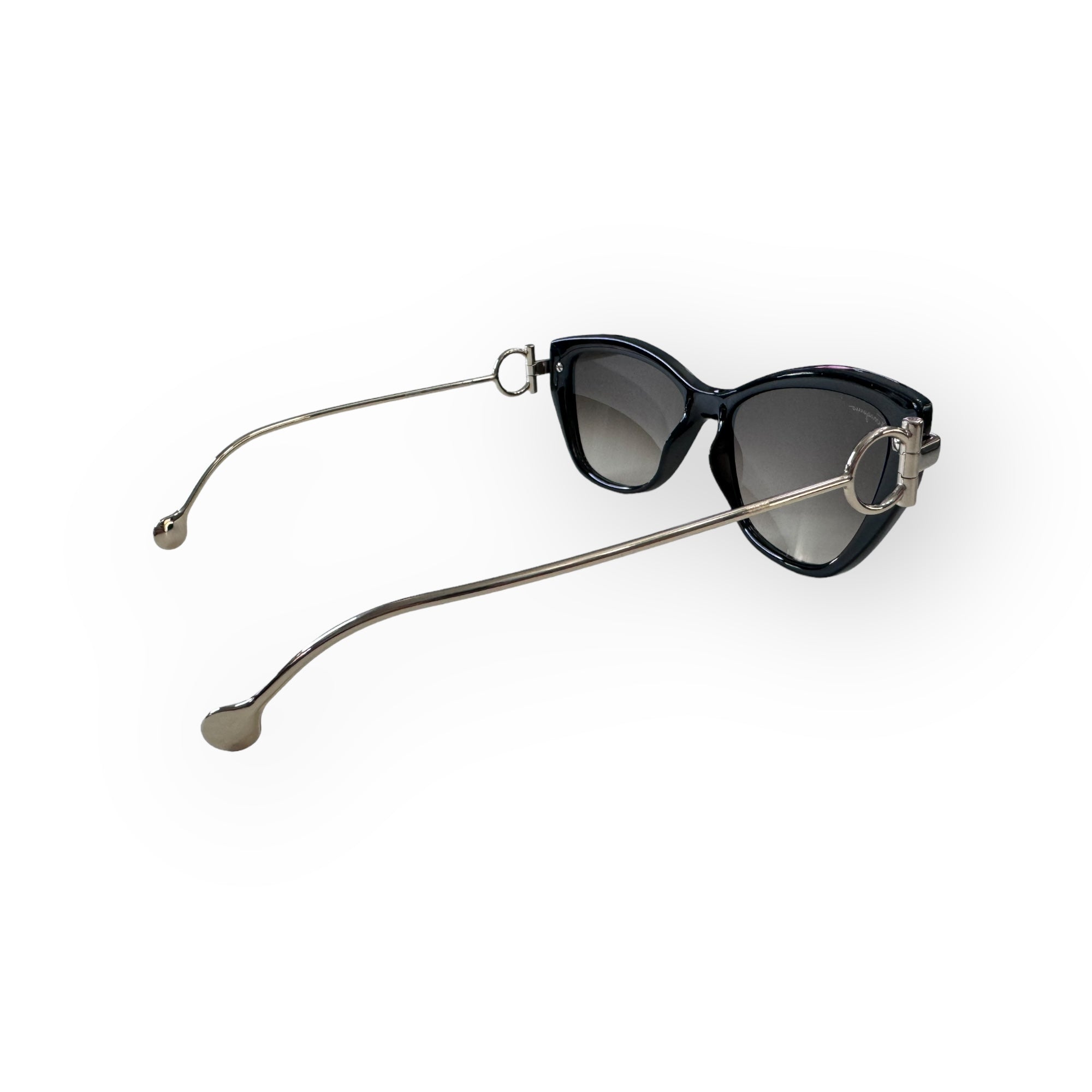 Ferragamo Sunglasses